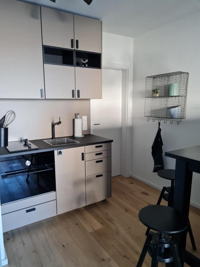 Moggele Apartman Scheidegg Kültér fotó